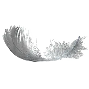 Holistic Pulsing – Mag. Susanne Gosch